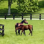 Cote Fleurie - Le Olliffe 公寓 *