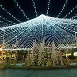 Cote Fleurie - Le Olliffe * 多维尔