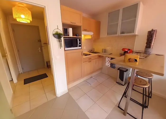 Cote Fleurie - Le Olliffe Apartman Deauville