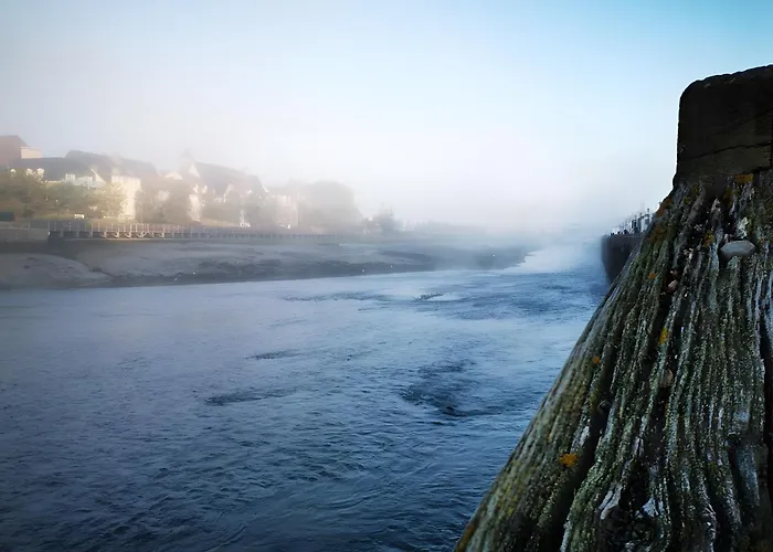 Cote Fleurie - Le Olliffe Appartement