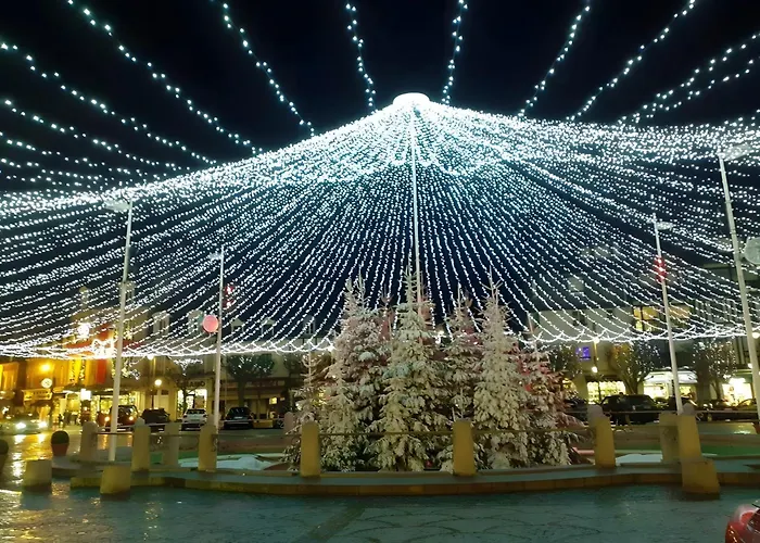 Cote Fleurie - Le Olliffe * Deauville